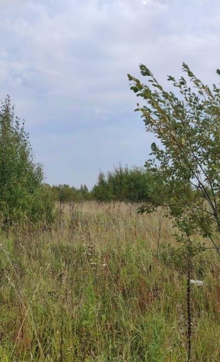 земля г Томск п Родионово р-н Советский ул. Светлая, 2 фото 3