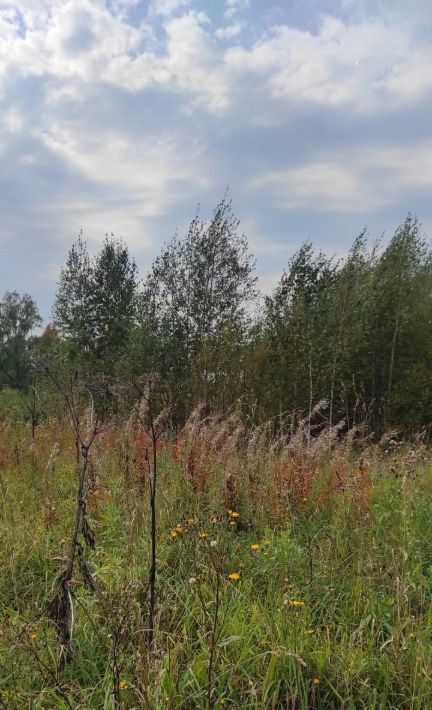 земля г Томск п Родионово р-н Советский ул. Светлая, 2 фото 2