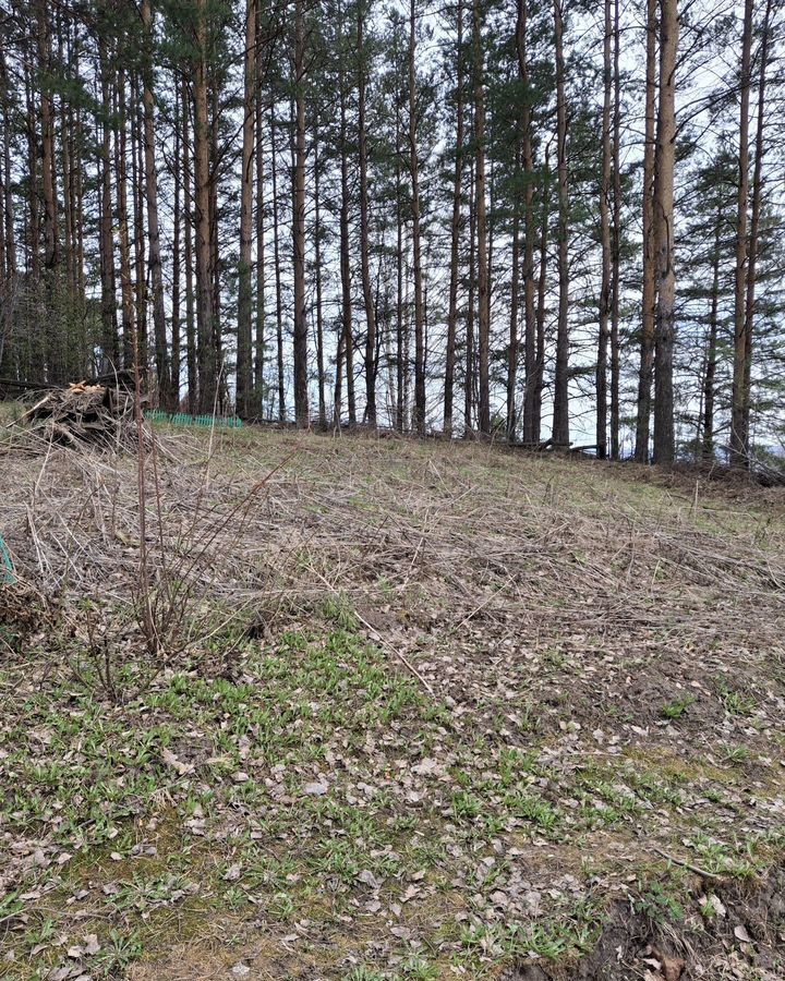 земля г Новокузнецк р-н Орджоникидзевский снт тер.Славянка Кемеровская обл. — Кузбасс фото 6