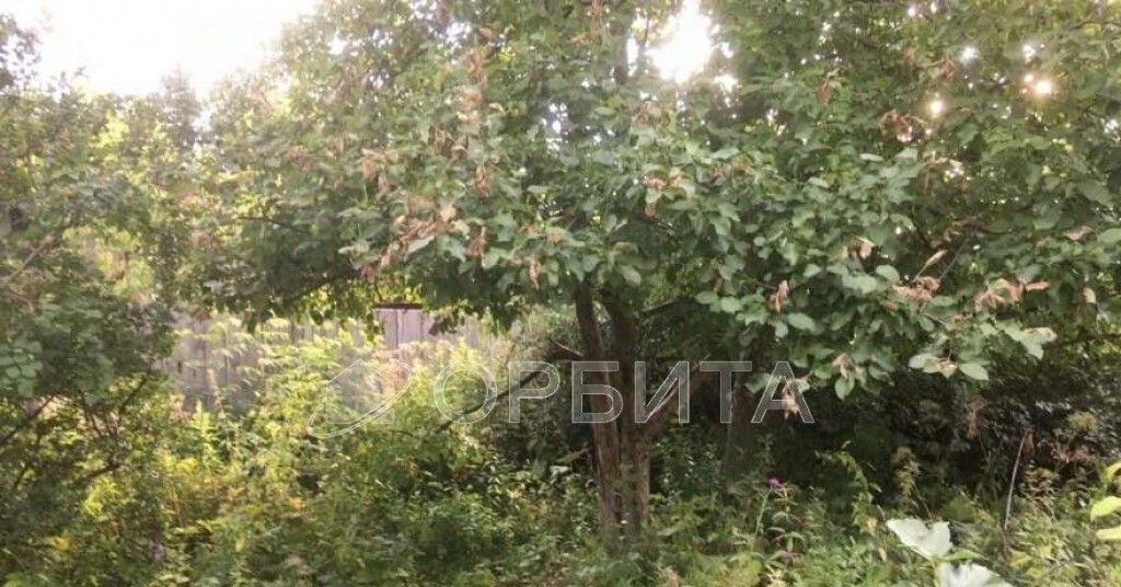 земля г Тюмень р-н Центральный ул Рябиновая фото 2