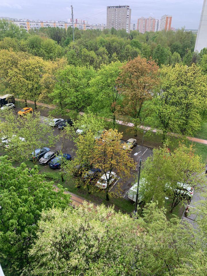 квартира г Москва ЮАО Орехово-Борисово Северное проезд Шипиловский 49/1 Московская область фото 12