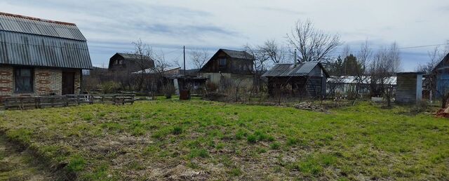 снт Кедр Кировградский муниципальный округ фото