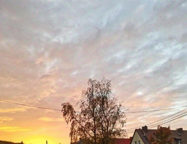 квартира р-н Гурьевский г Гурьевск ул Балтийская 2 фото 11