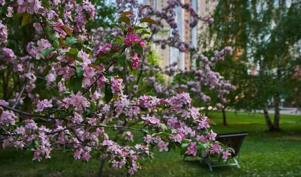 квартира г Москва метро Тропарёво пр-кт Вернадского 94к/5 ЖК «Миракс Парк» муниципальный округ Тропарёво-Никулино фото 12