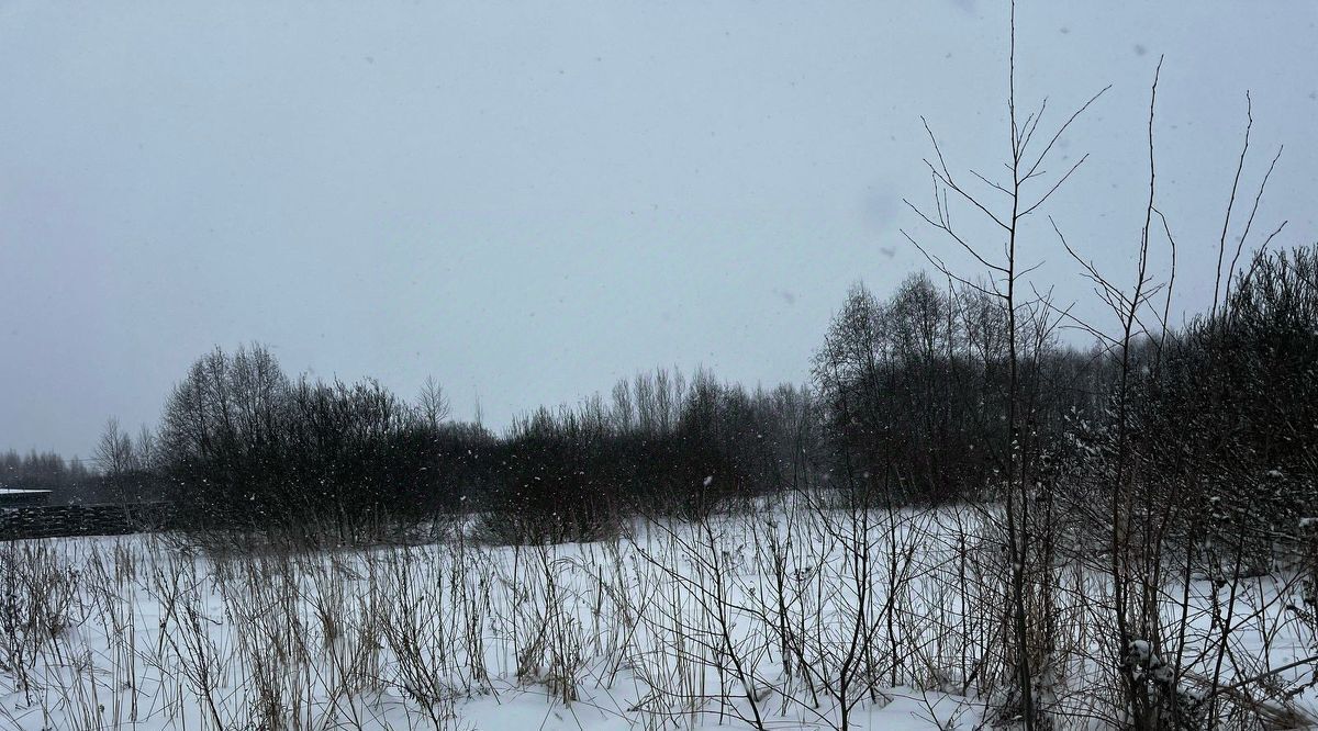 офис городской округ Талдомский г Талдом фото 1