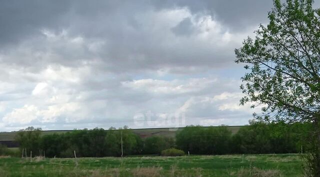 р-н Стерлитамакский д Боголюбовка ул Гагарина 46 Константиноградовский сельсовет фото