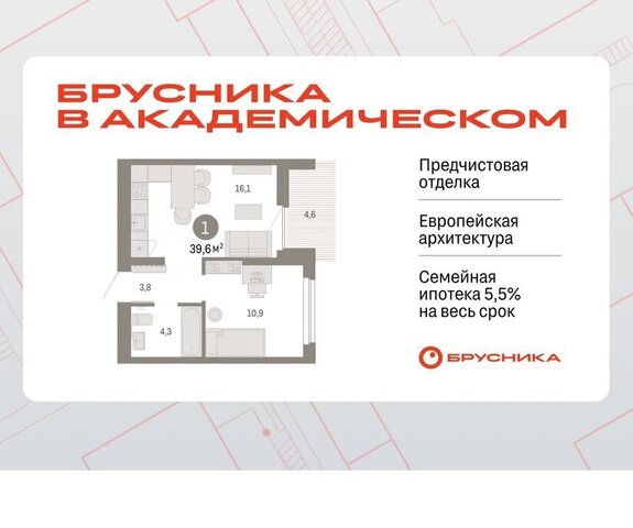 Чкаловская ЖК Брусника в Академическом фото