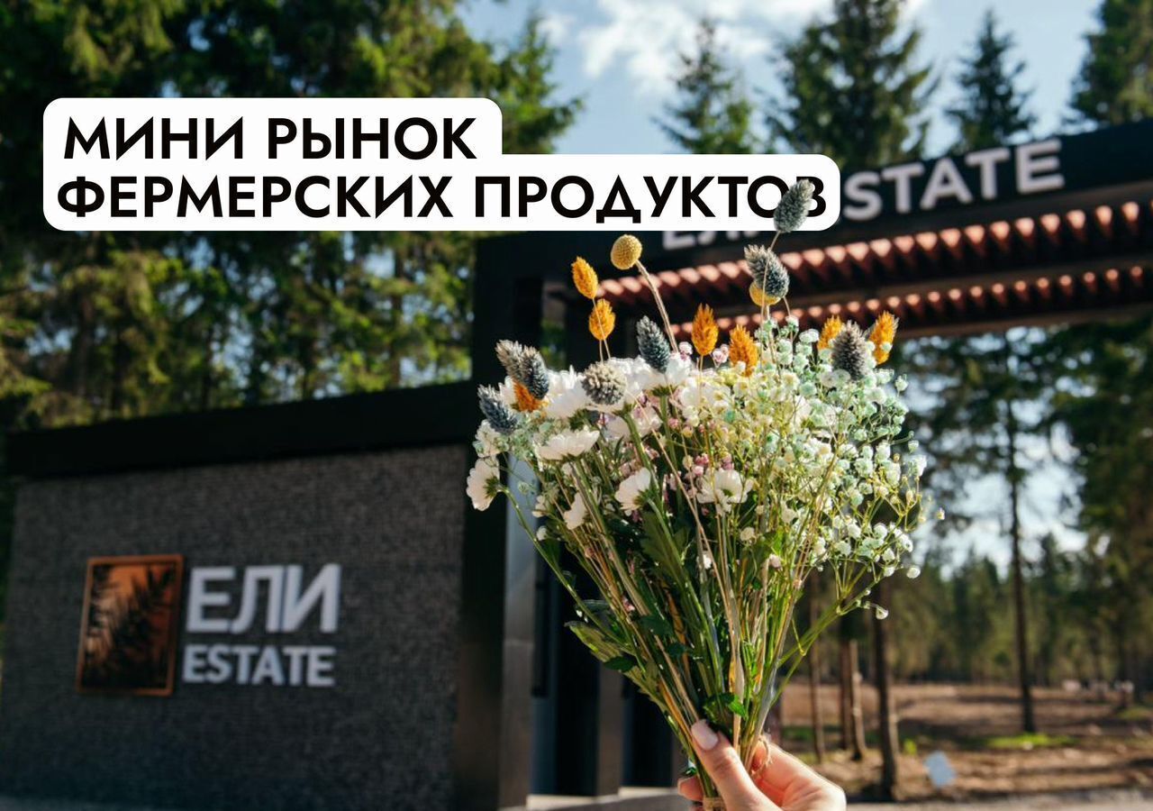 земля г Истра Павловская Слобода, 25 км, коттеджный пос. Монтевиль, Новорижское шоссе фото 40