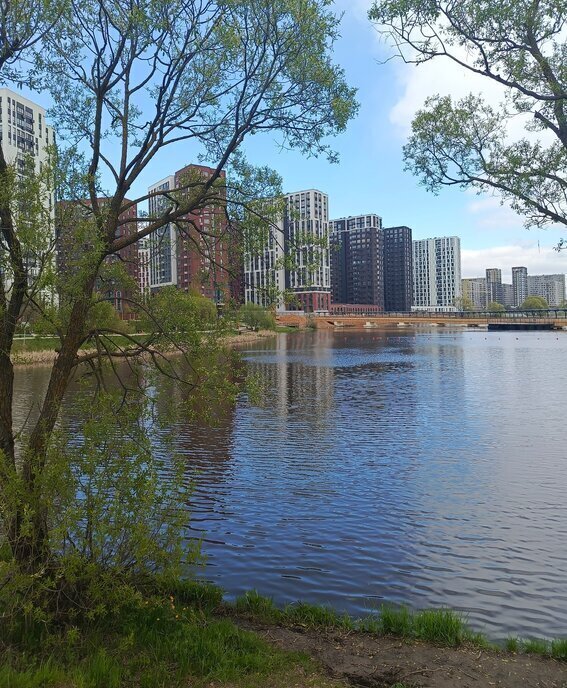 квартира г Москва метро Прокшино метро Коммунарка ТиНАО пр-кт Прокшинский 7 фото 13