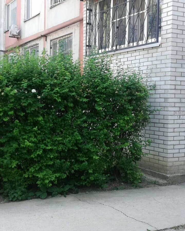 квартира г Керчь ул Дмитрия Донского 3 фото 9