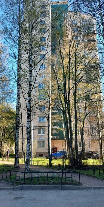 квартира г Санкт-Петербург метро Озерки ул Сикейроса 17к/3 фото 18