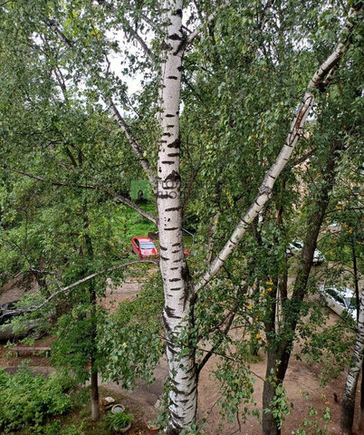 ул 30 лет Победы 49 фото