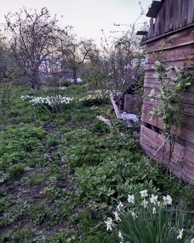 земля р-н Фрунзенский садовое некоммерческое товарищество Мебельщик, 19 фото
