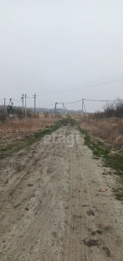 земля р-н Зеленоградский г Зеленоградск ул Курортная садоводческое товарищество Прибой фото 4