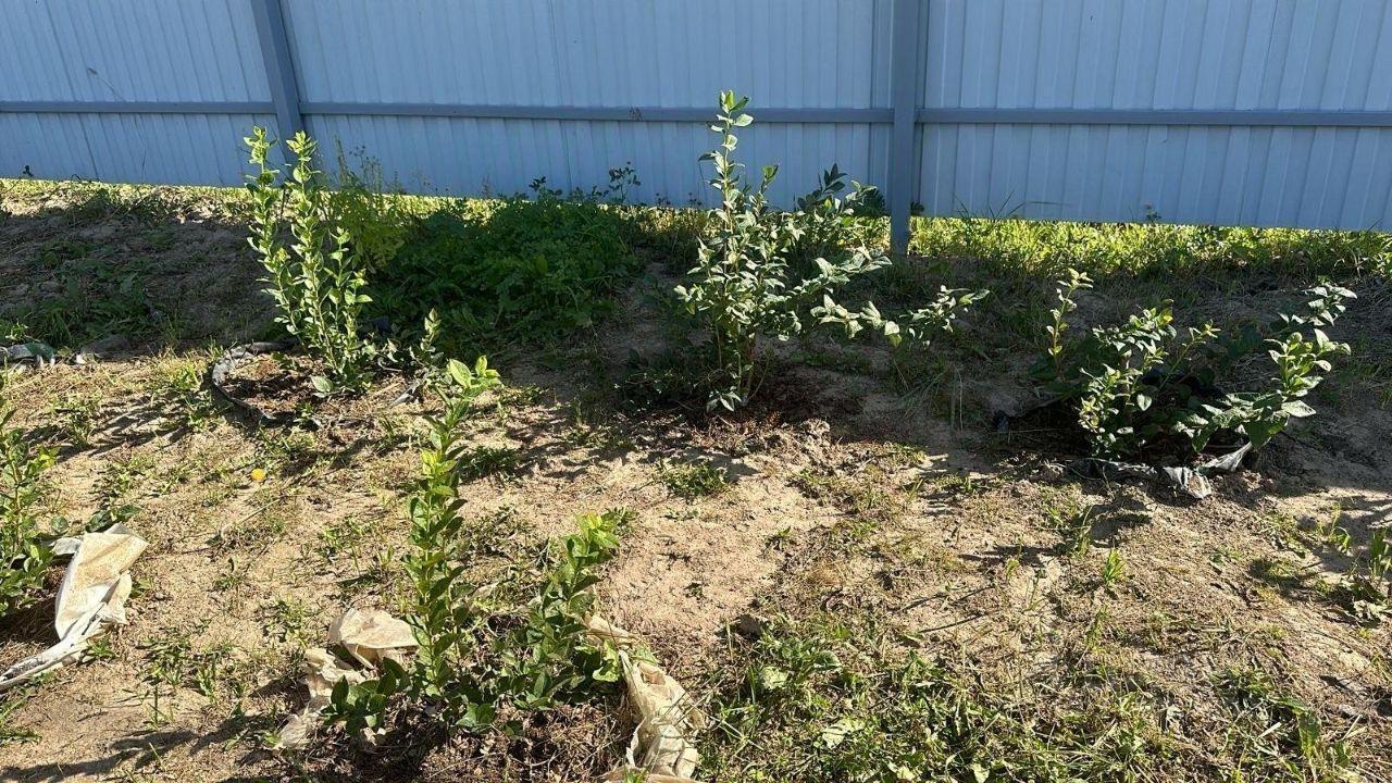 земля г Наро-Фоминск тер Новинское Наро-Фоминский городской округ фото 23