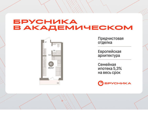 Чкаловская ЖК Брусника в Академическом фото