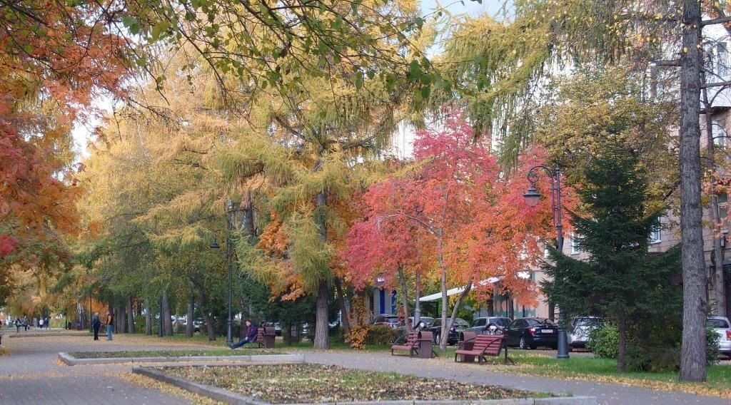 квартира г Кемерово р-н Центральный ул Ноградская 22 фото 42
