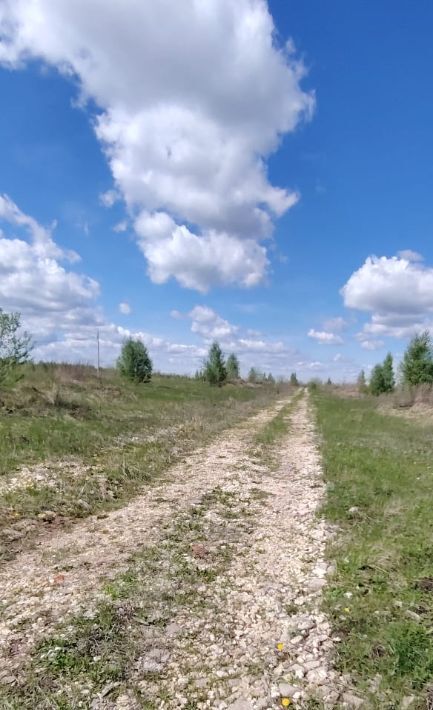 земля г Новокуйбышевск п Семеновка ул Степная фото 7