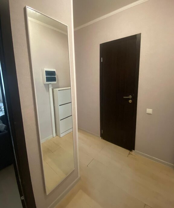 квартира г Люберцы д Марусино ул Заречная 37к/3 Некрасовка фото 12