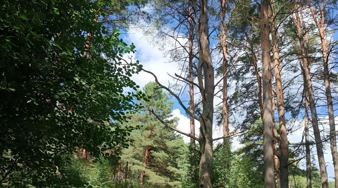 дом р-н Кировский г Киров ул Плеханова 82 фото 24