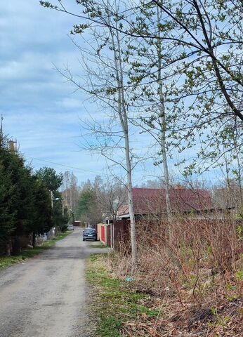 14 км, Всеволожский р-н, Сертоловское городское поселение, ТСН Заозёрное, 1-я Центральная линия, Александровское шоссе фото