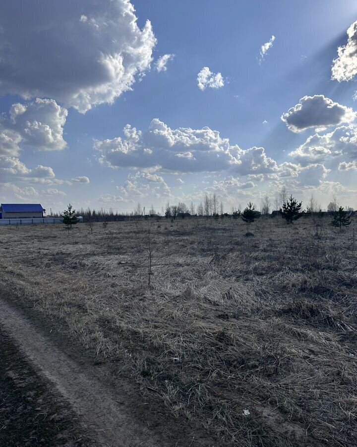 земля г Йошкар-Ола д Шоя-Кузнецово ул Родниковая 36 фото 2