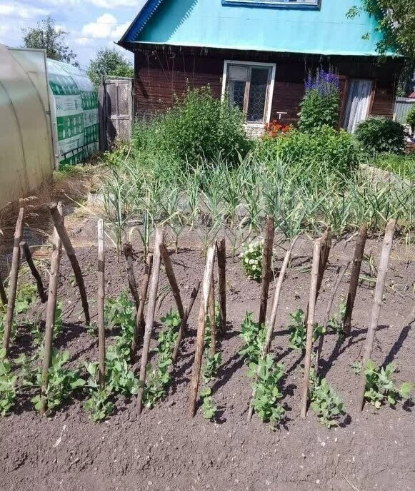 дом г Златоуст снт Березка фото 3