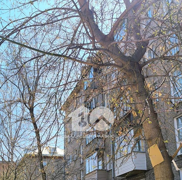 квартира г Новосибирск Заельцовская ул Богдана Хмельницкого 4/1 фото 28