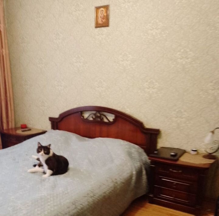 квартира г Старый Оскол микрорайон Космос 12 фото 7
