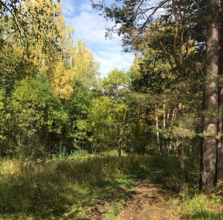 земля г Ревда с Кунгурка ул Рабоче-Крестьянская фото 1