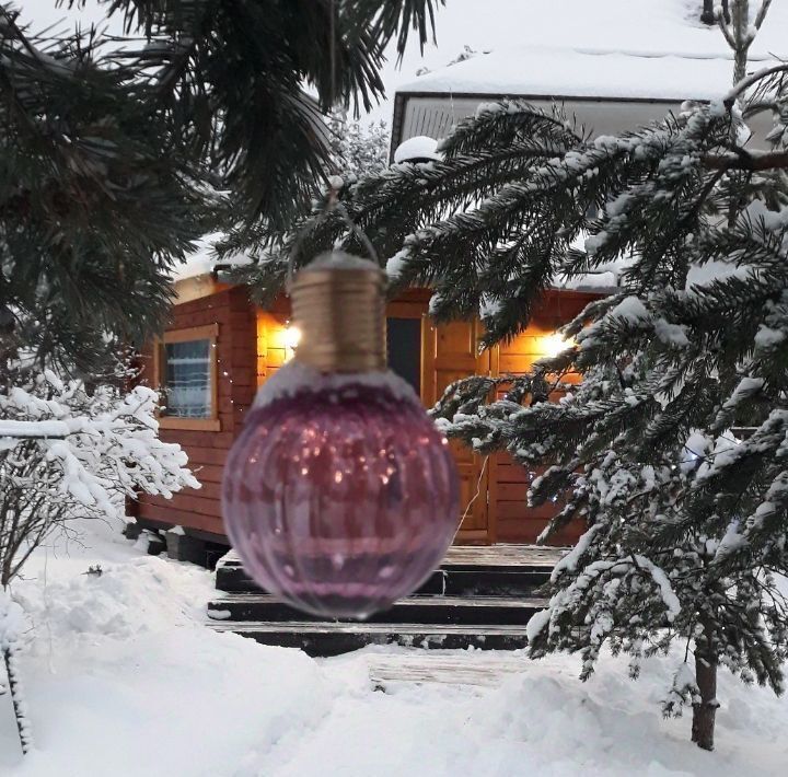 дом г Петрозаводск ул Ботаническая 31 фото 1