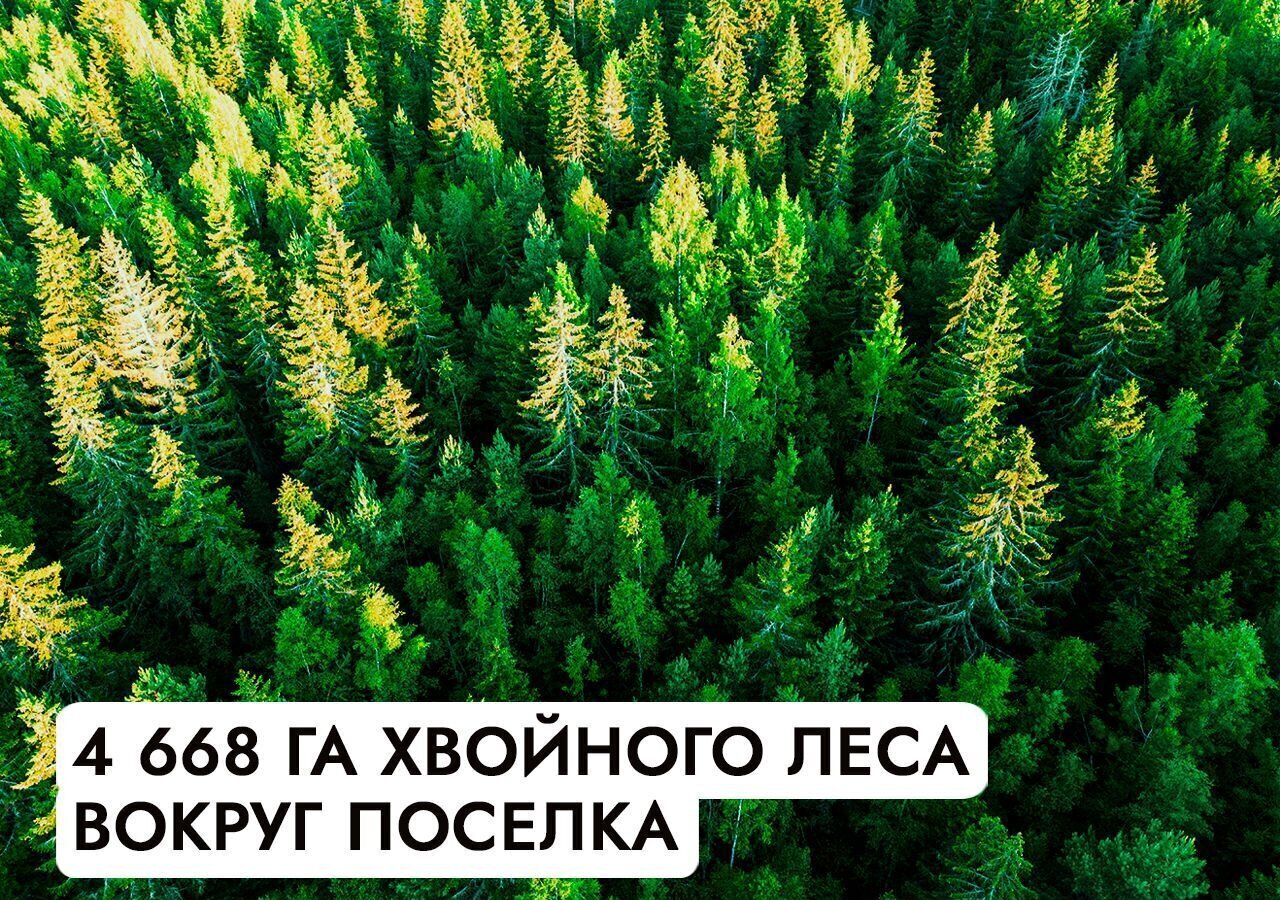 земля г Истра Павловская Слобода, 25 км, коттеджный пос. Гринфилд, Минское шоссе фото 10