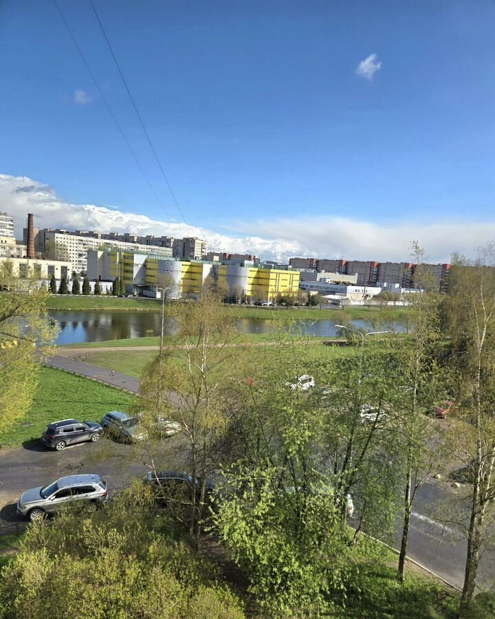 квартира г Санкт-Петербург метро Проспект Ветеранов ул Бурцева 20 фото 10