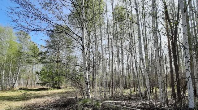 с Кунгурка ул Славянская фото