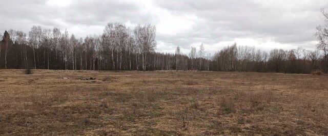 земля д Савинки фото