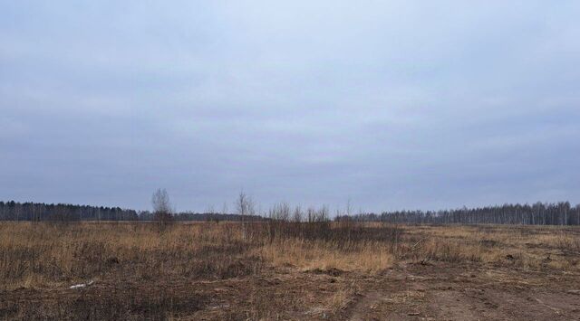 Ожерелье мкр фото