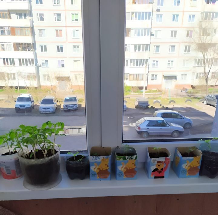 квартира г Омск р-н Кировский Звёздный ул Лисицкого 9б фото 7