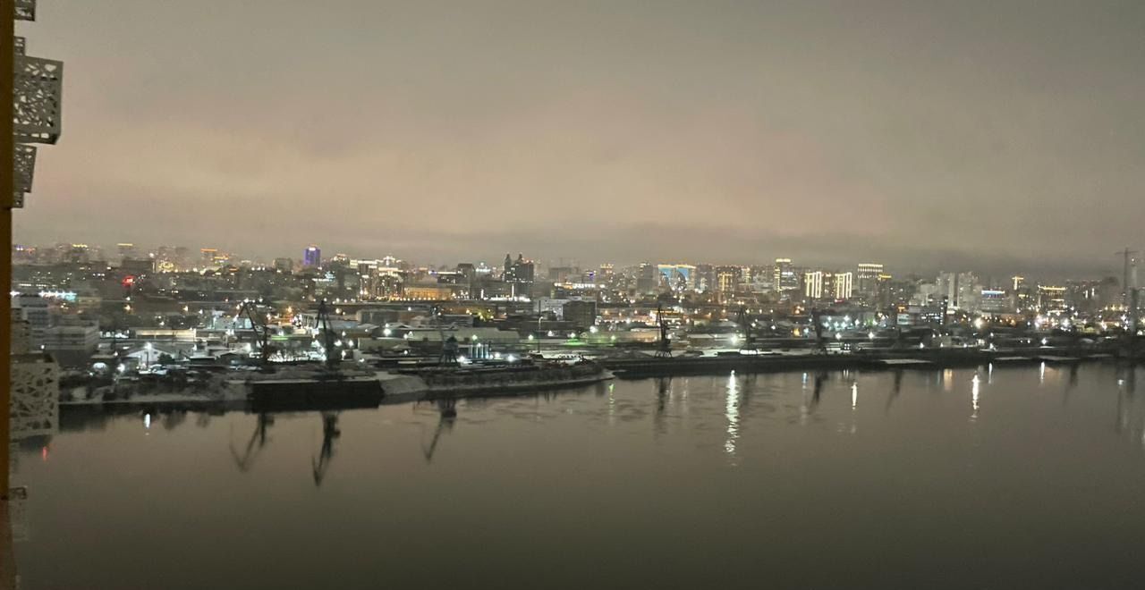 квартира г Новосибирск ул Ясный Берег 27 Площадь Ленина фото 10