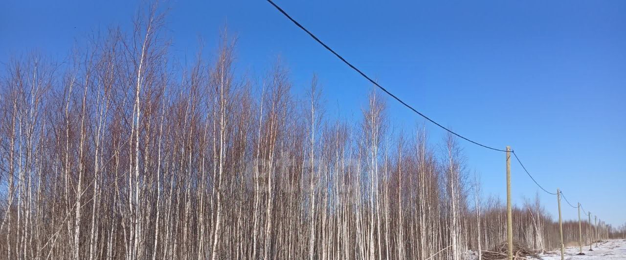 земля г Тюмень р-н Центральный снт Большое Царево-1 фото 2