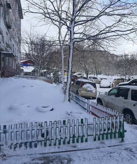 квартира г Петропавловск-Камчатский ул Академика Курчатова 9 фото 11