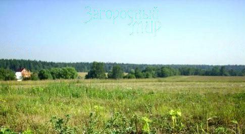 земля г Клин 61 км, Рогачево, Рогачёвское шоссе фото 2