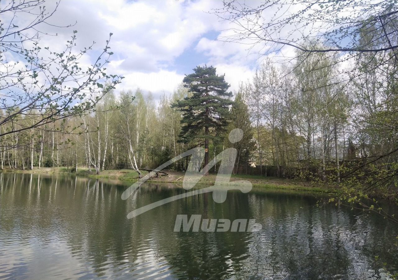 земля городской округ Богородский г Ногинск снт Богатырь 27 км, Электроугли, Носовихинское шоссе фото 3
