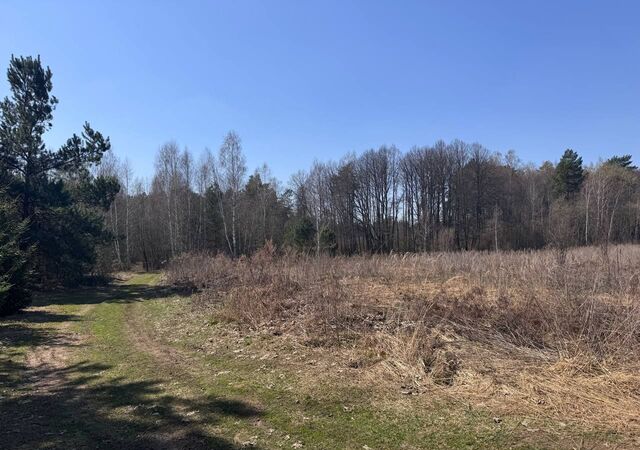 81 км, Руза, Новорижское шоссе фото