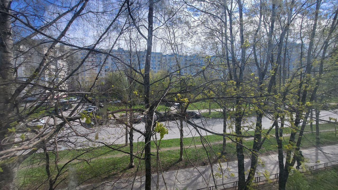 квартира г Санкт-Петербург б-р Серебристый 28/1 округ Комендантский аэродром, Ленинградская область фото 4
