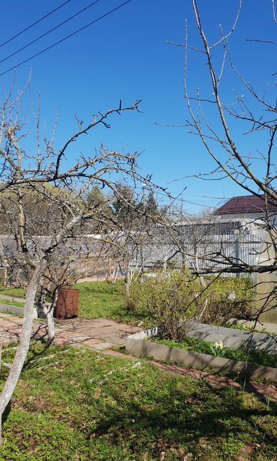земля г Сестрорецк снт Разлив р-н Курортный Приморское шоссе, 2 км, 14-я дорожка фото 16