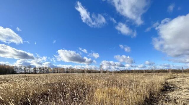 с Федоровка Тула городской округ фото