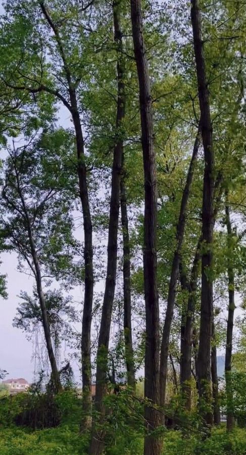 квартира г Махачкала р-н Кировский Благородная ул., 13 фото 17