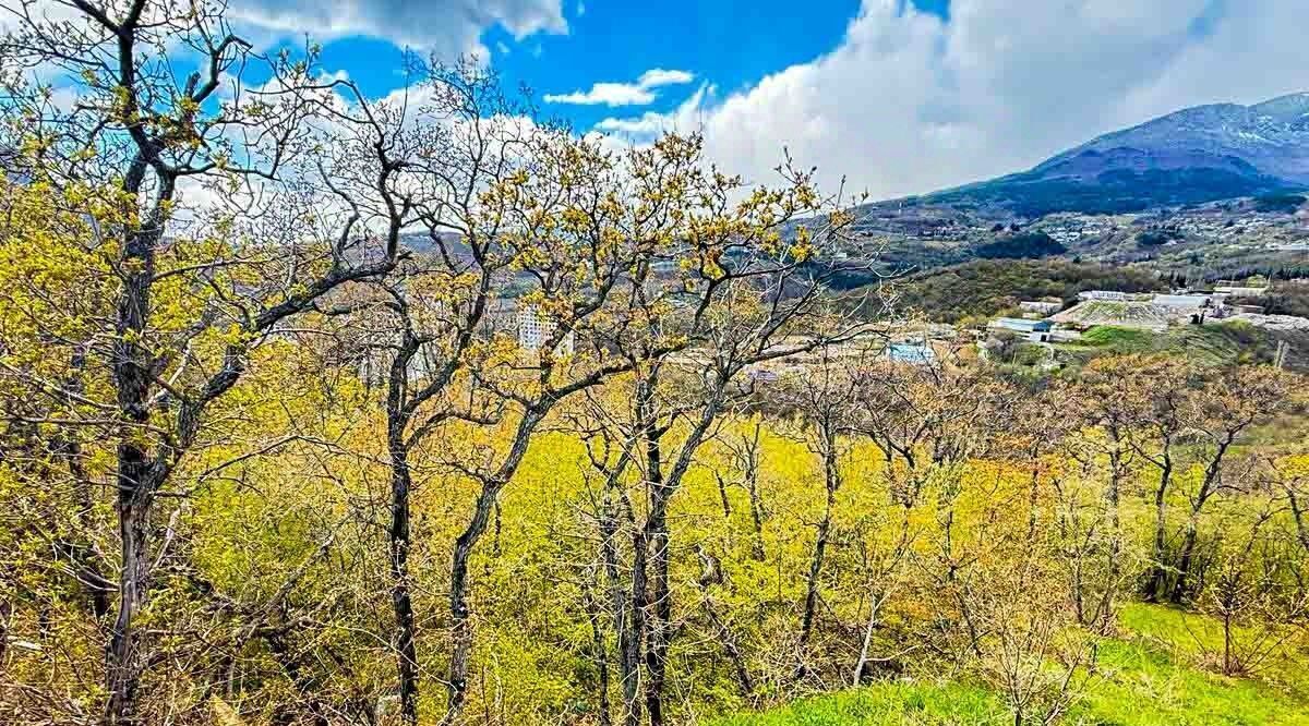 земля г Алушта пгт Партенит ул Ламбатская фото 3