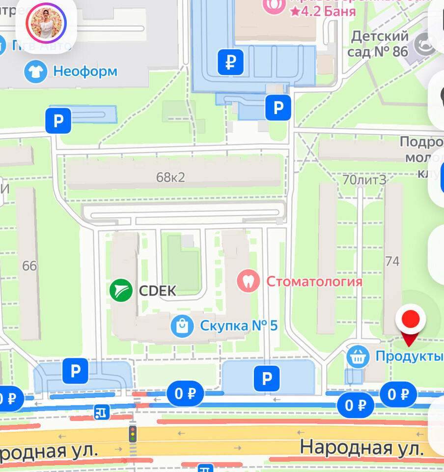 квартира г Санкт-Петербург Народный ул Народная 74 фото 3