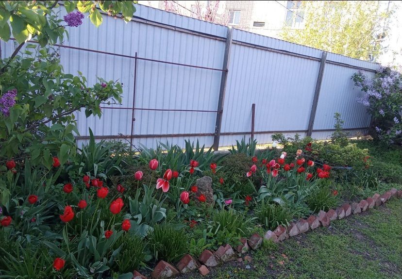дом р-н Новокубанский г Новокубанск ул Кооперативная Новокубанское городское поселение фото 7